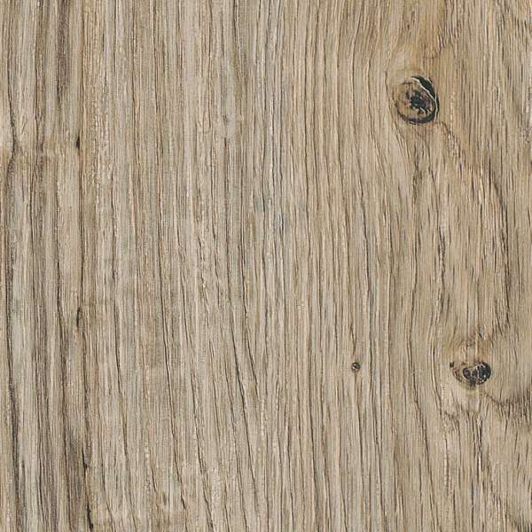 Sun Bleached Oak SS5W2531