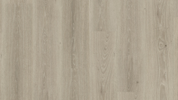 Tribe Oak Grey 260053008