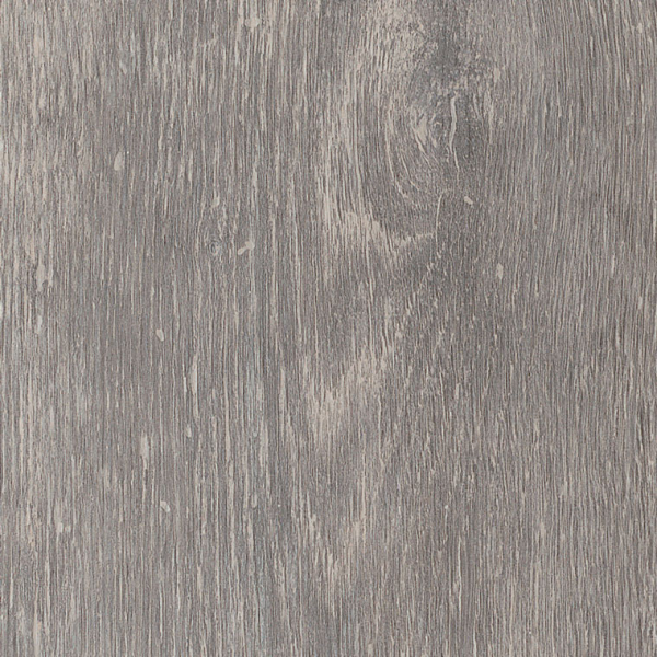 Alpine Oak AR0W8330