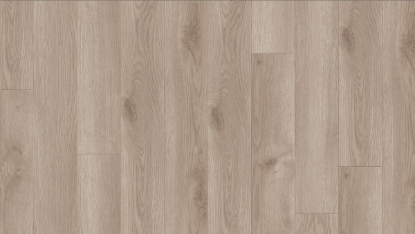 Contemporary Oak Grege 260022007