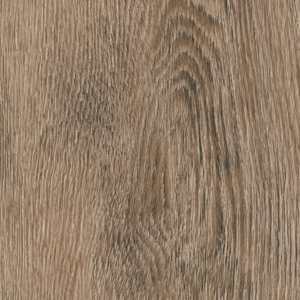 Toulouse Oak AR0W8430